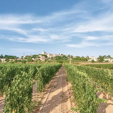 Amazing In With Kitchen Holiday home Thezan-les-Beziers