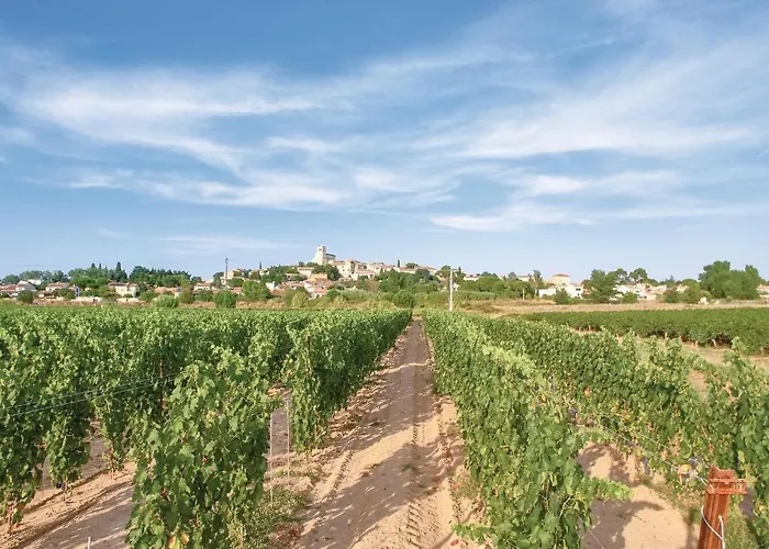 Beautiful In بيت للعطل Thezan-les-Beziers
